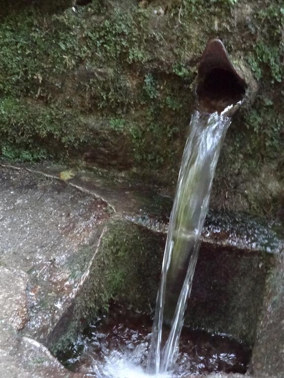 Dia Apartman Miszkolc Zewnętrze zdjęcie